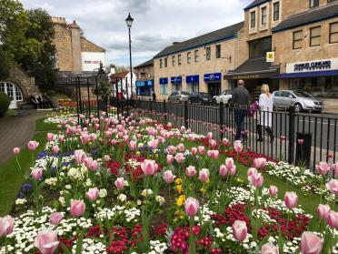 Flower bed in Wetherby