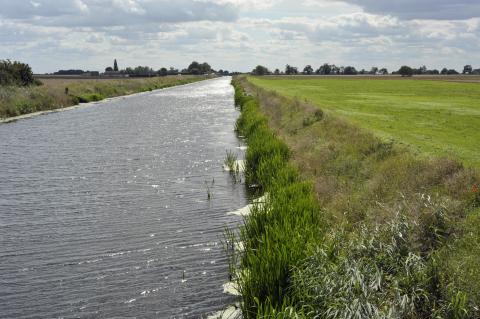 Fenland