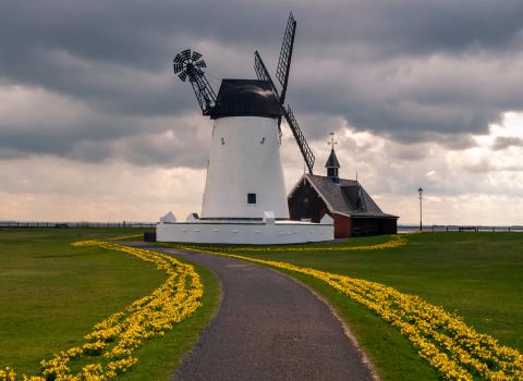 A picture of Fylde