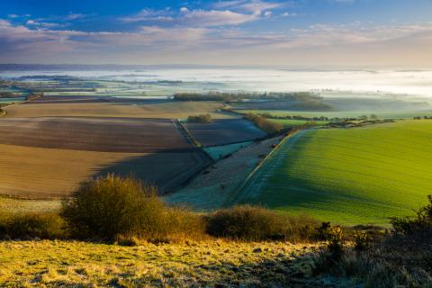 Mid Sussex
