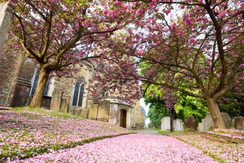 sevenoaks
