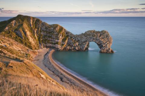 dorset